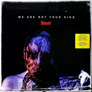 WE ARE NOT YOUR KIND (VINILO X2)