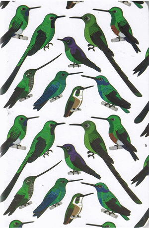 CUADERNO COLIBRIES HOJAS RAYADAS
