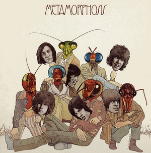 METAMORPHOSIS (VINILO)