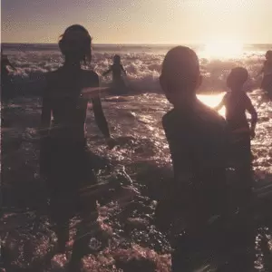 ONE MORE LIGHT (VINILO)