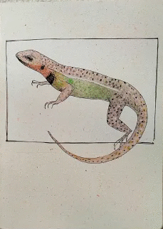 LAGARTO GRANDE BLANCO