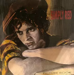 PICTURE BOOK (VINILO)