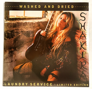 LAUNDRY SERVICE (WASHED AND DRIED) (VINILO X 2)