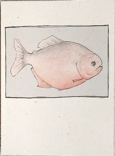 PIRAÑA GRANDE PUNTOS