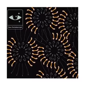 THE GOLDEN LIGHT (VINILO)