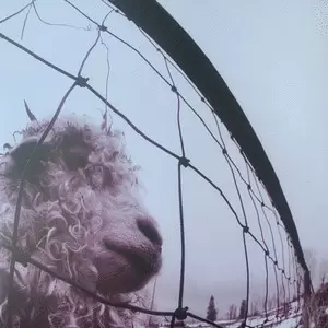  VS (30TH ANNIVERSARY)