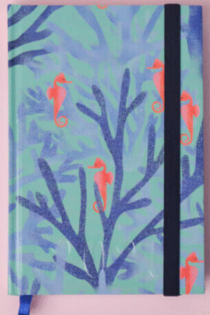 AGENDA ALE CORAL