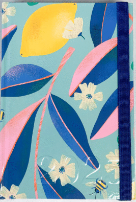 AGENDA ALE LIMONES