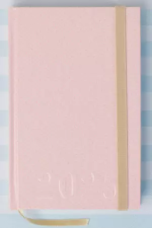 AGENDA EJECUTIVA 2026 BLUSH