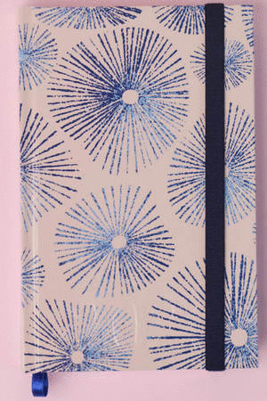 AGENDA EJECUTIVA ERIZO