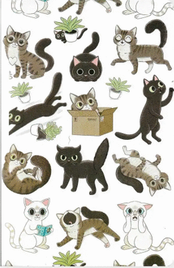 CUADERNO MIAU (HOJAS BLANCAS)