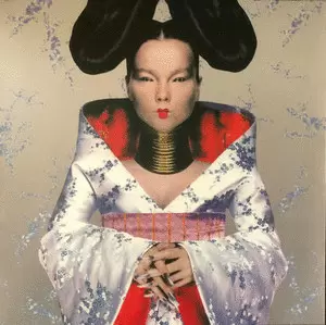HOMOGENIC (VINILO X1)
