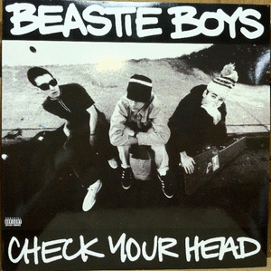 CHECK YOUR HEAD (VINILO X 2)