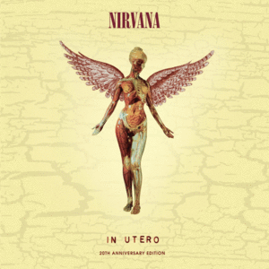 IN UTERO: 20TH ANNIVERSARY EDITION (VINILO X3)