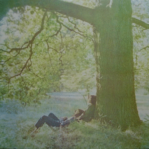 PLASTIC ONO BAND (VINILO)