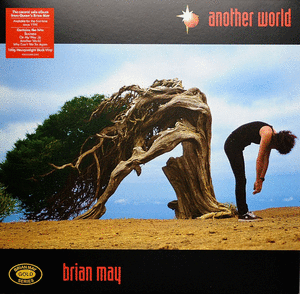 ANOTHER WORLD (VINILO)
