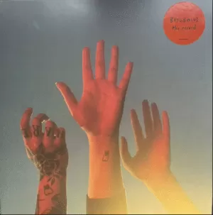THE RECORD (VINILO)