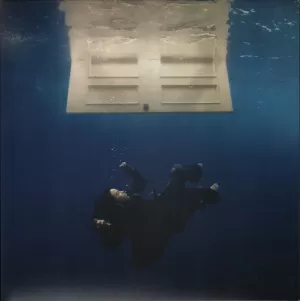 HIT ME HARD AND SOFT (VINILO)