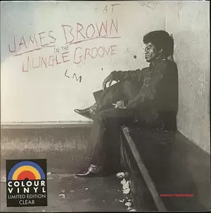 IN THE JUNGLE GROOVE (VINILO)