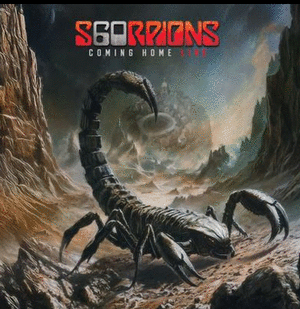 COMING HOME: LIVE (VINILOX2)