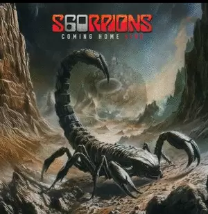 COMING HOME: LIVE (VINILOX2)