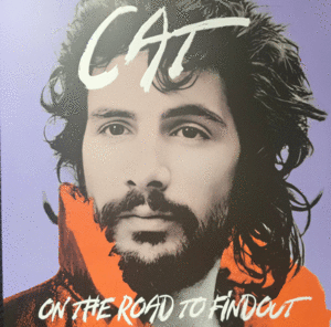 ON THE ROAD TO FINDOUT (VINILO)