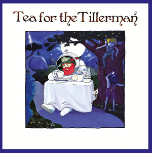 TEA FOR THE TILLERMAN² (VINILO)