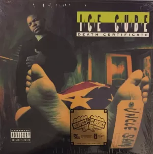 DEATH CERTIFICATE (VINILO)