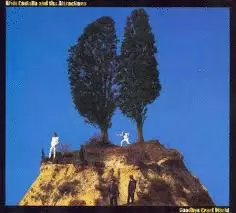 GOODBYE CRUEL WORLD (VINILO)