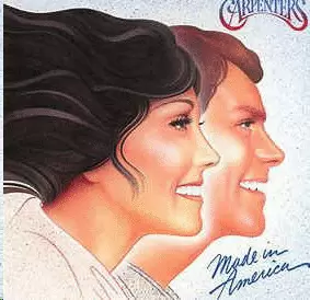 MADE IN AMERICA (VINILO)