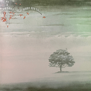 WIND & WUTHERING (VINILO)