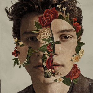 SHAWN MENDES (VINILO)