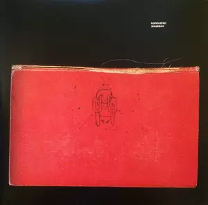 AMNESIAC (VINILO X 2)