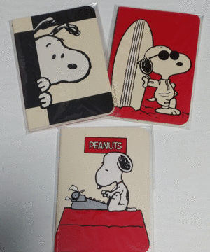 SET MINI LIBRETAS SNOOPY  X3  MOTIVOS VARIOS