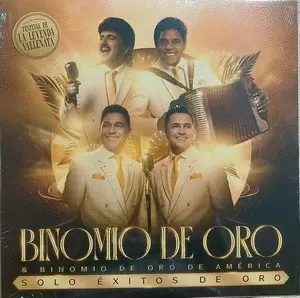 SOLO ÉXITOS DE ORO (VINILO)