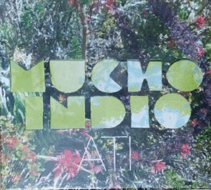 MUCHO INDIO  ATI