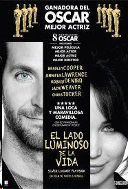EL LADO LUMINOSO DE LA VIDA (DVD)