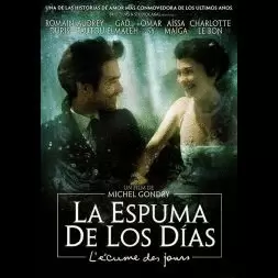 LA ESPUMA DE LOS DIAS  (DVD)