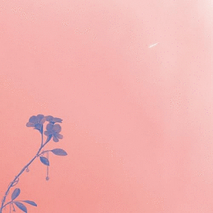 AURORA (VINILO)