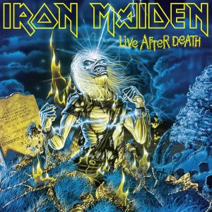 LIFE AFTER DEATH (VINILO X2)