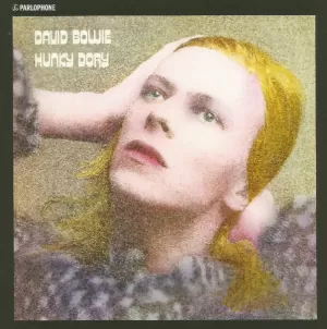 HUNKY DORY (VINILO)