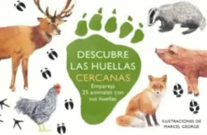 DESCUBRE LAS HUELLAS CERCANAS
