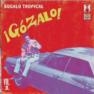 GOZALO BUGALO TROPICAL