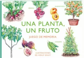 UNA PLANTA, UN FRUTO