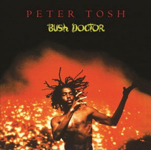 BUSH DOCTOR (VINILO)