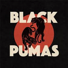 BLACK PUMAS (VINILO)