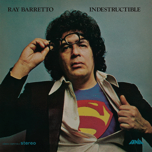 INDESTRUCTIBLE  (VINILO)