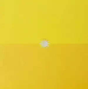 AMOR AMARILLO (VINILO X 2)