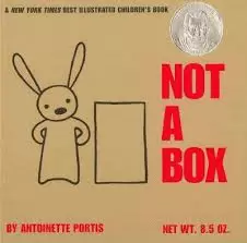 NOT A BOX