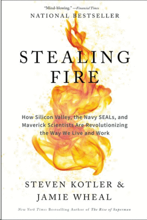 STEALING FIRE : HOW SILICON VALLEY, THE NAVY SEALS, AND MAVERICK SCIENTISTS ARE